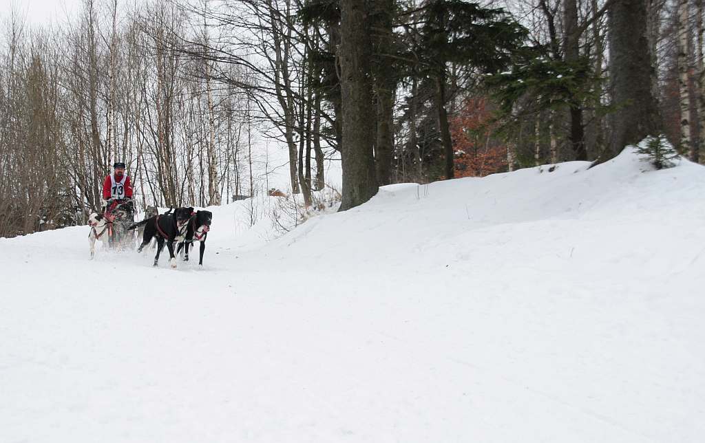 Wyścigi psich zaprzęgów