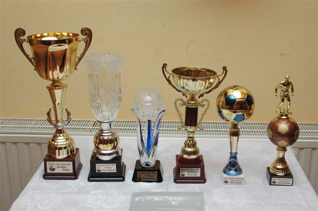 Bal sportu w Prochowicach