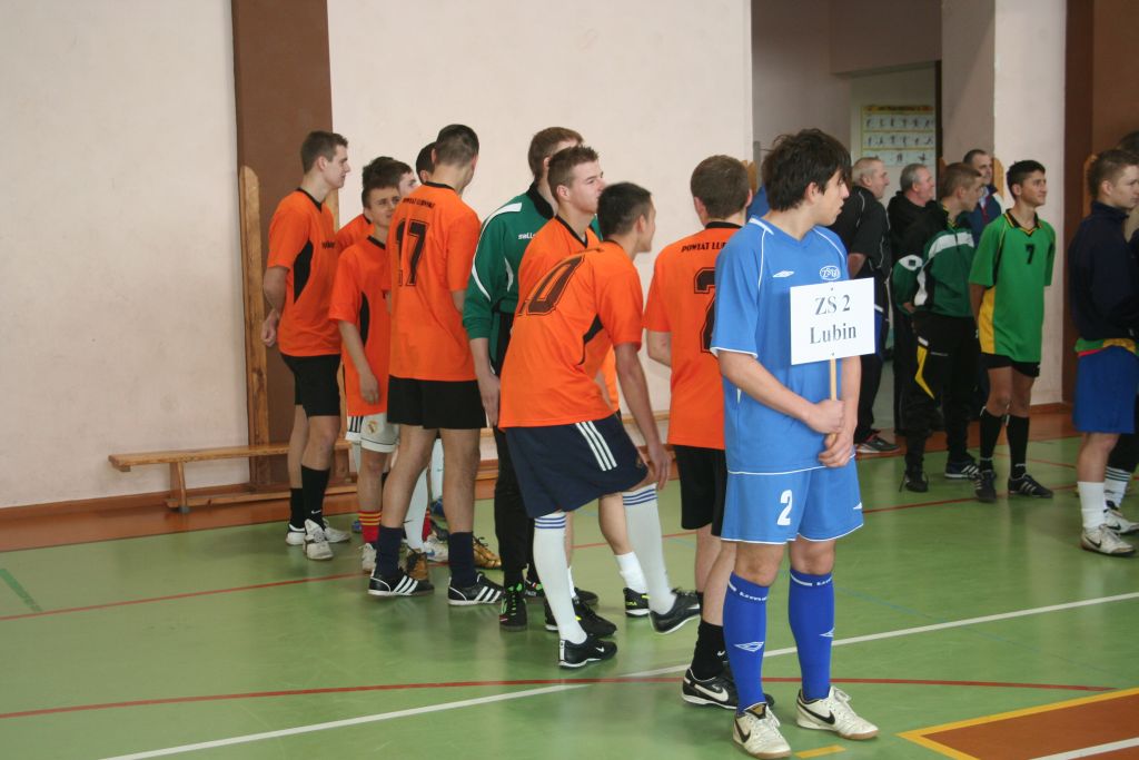 Henrykówka czwarta na Dolnym Śląsku