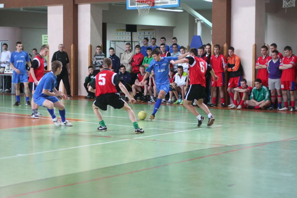 Henrykówka czwarta na Dolnym Śląsku