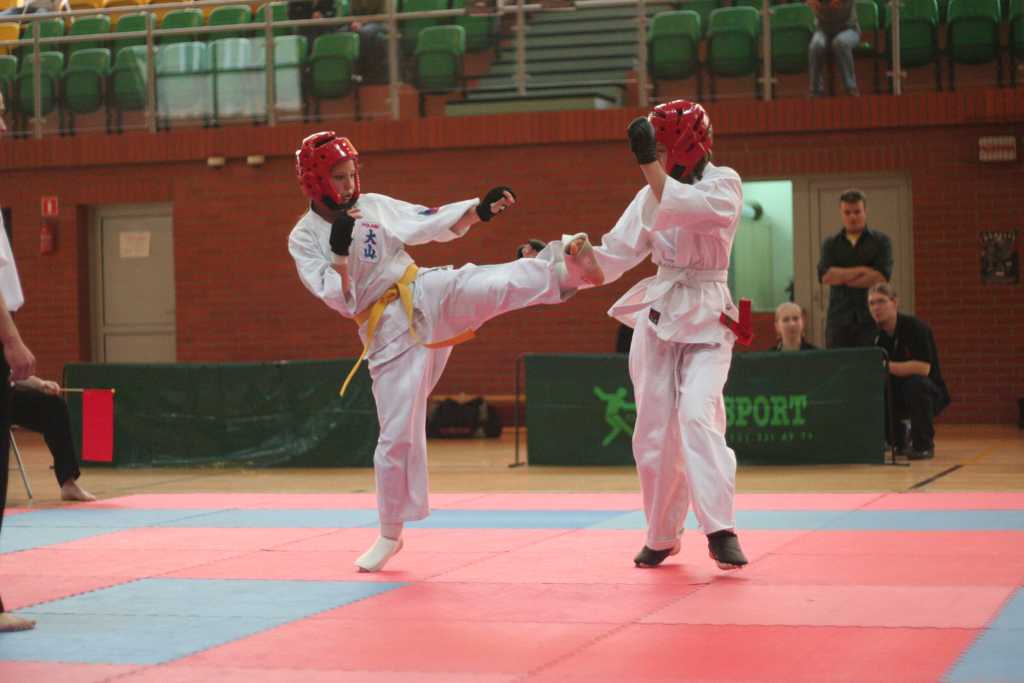 Oyama Karate w SP20