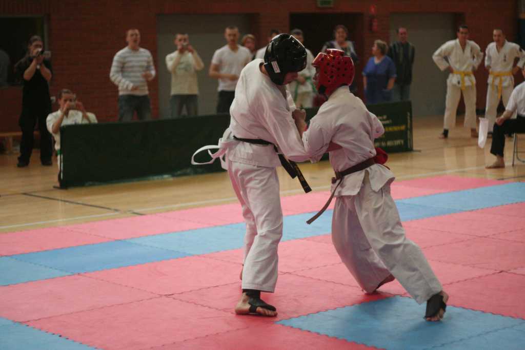 Oyama Karate w SP20