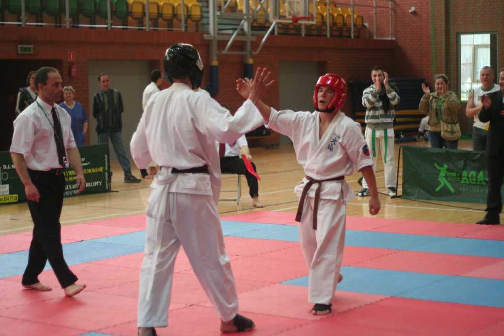 Oyama Karate w SP20