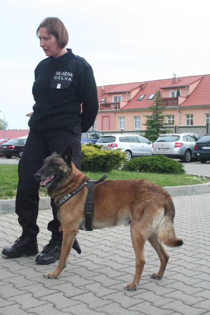 Uczę się bezpiecznie żyć