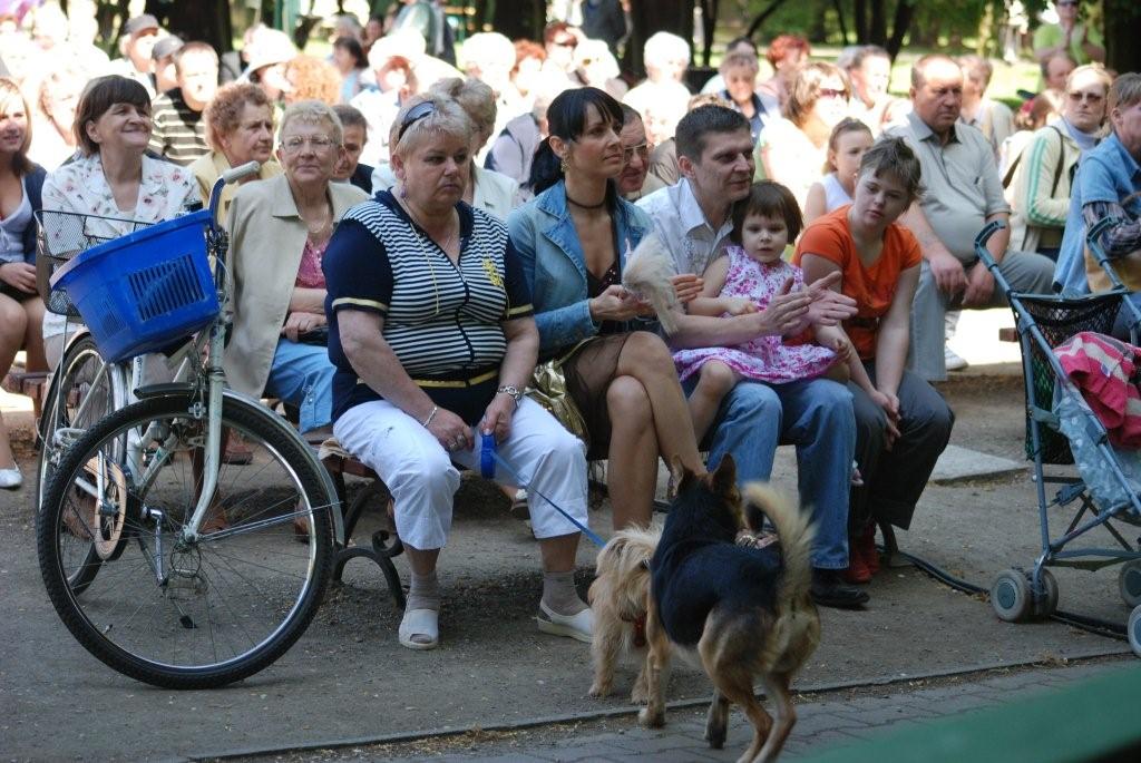 Majówka w parku