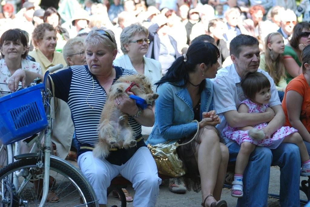 Majówka w parku