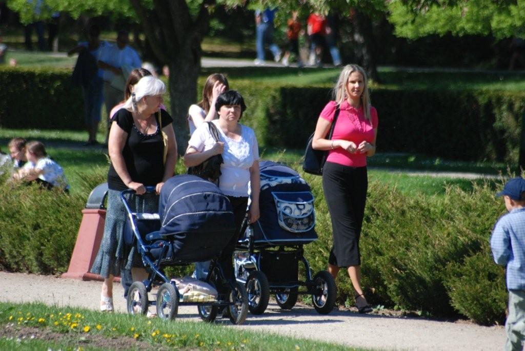Majówka w parku