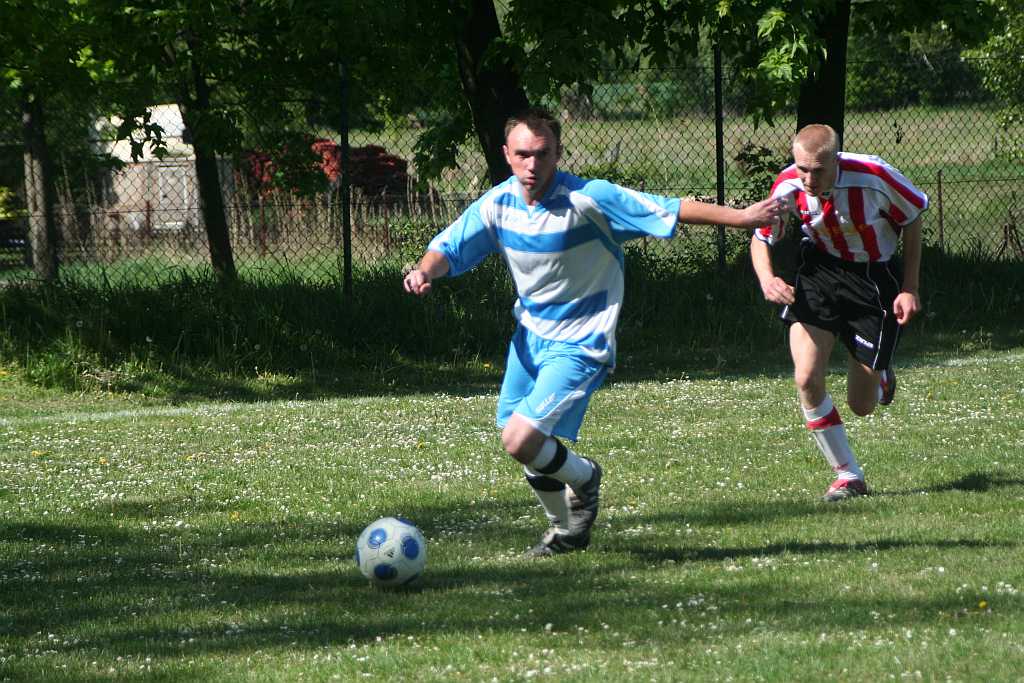 Błękitni - Dąb