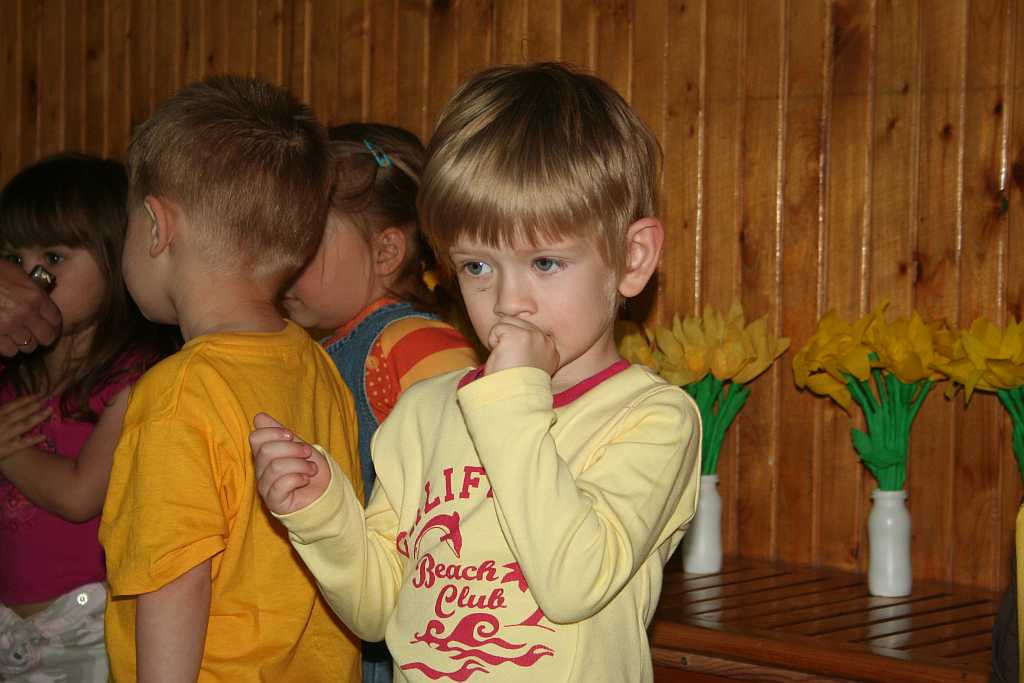 Żonkile z TĘCZOWEGO ZAKĄTKA