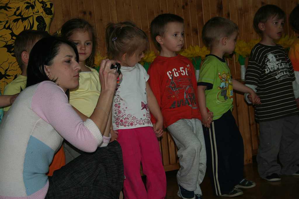 Żonkile z TĘCZOWEGO ZAKĄTKA
