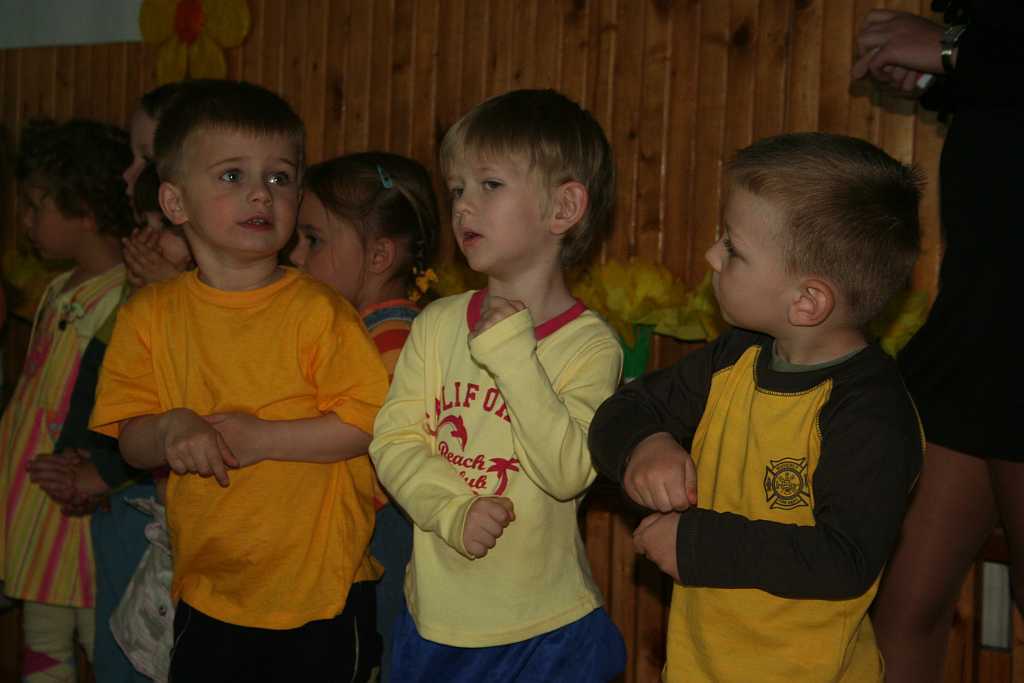 Żonkile z TĘCZOWEGO ZAKĄTKA