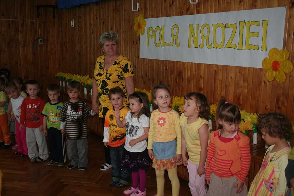 Żonkile z TĘCZOWEGO ZAKĄTKA