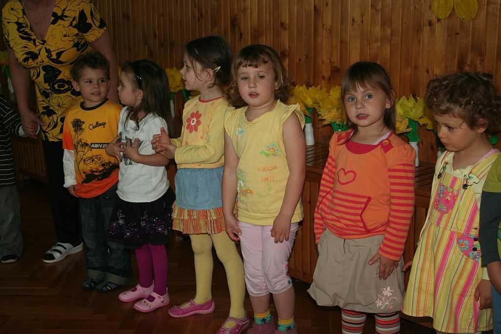 Żonkile z TĘCZOWEGO ZAKĄTKA