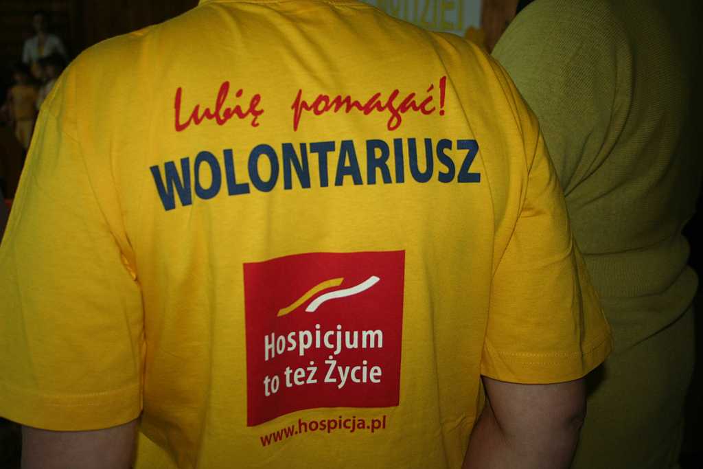 Żonkile z TĘCZOWEGO ZAKĄTKA