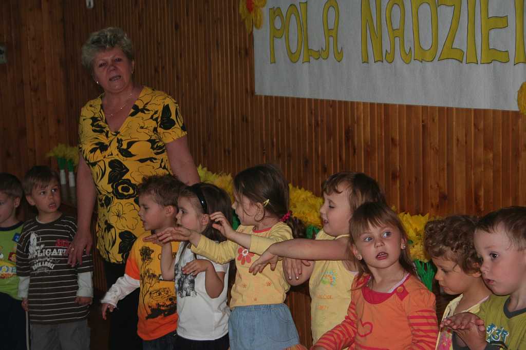 Żonkile z TĘCZOWEGO ZAKĄTKA
