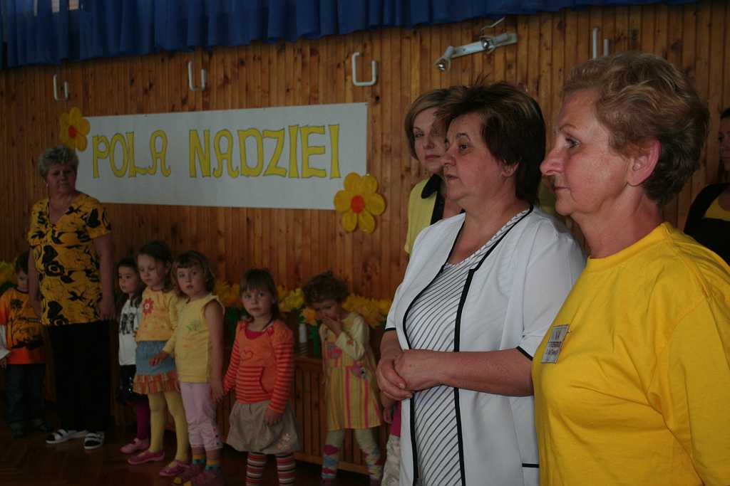 Żonkile z TĘCZOWEGO ZAKĄTKA