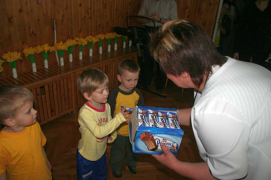 Żonkile z TĘCZOWEGO ZAKĄTKA