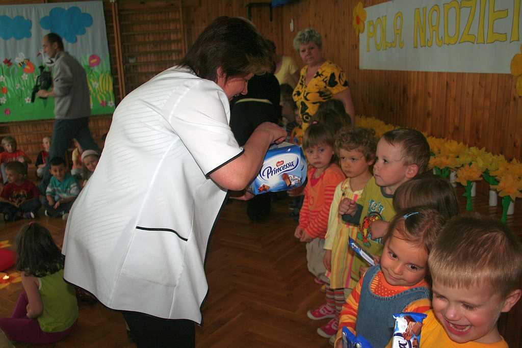 Żonkile z TĘCZOWEGO ZAKĄTKA