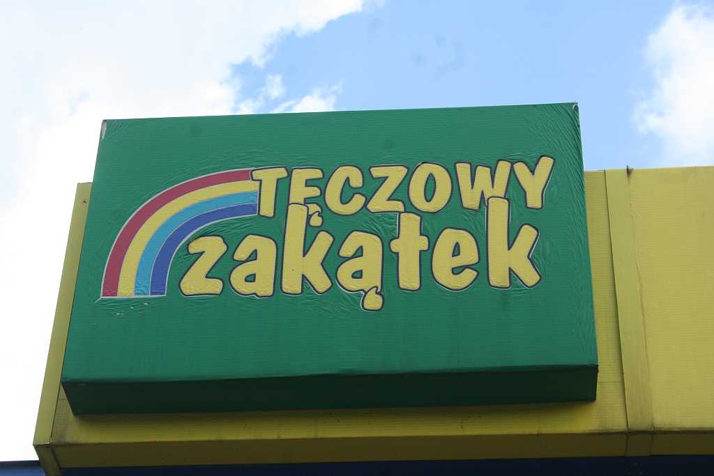 Żonkile z TĘCZOWEGO ZAKĄTKA