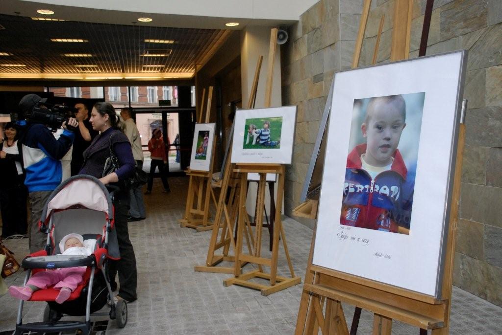 Galeria Piastów - wystawa
