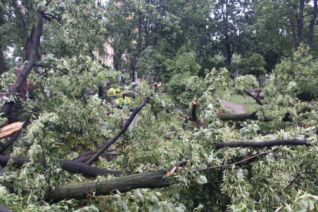 Zniszczenia na cmentarzach