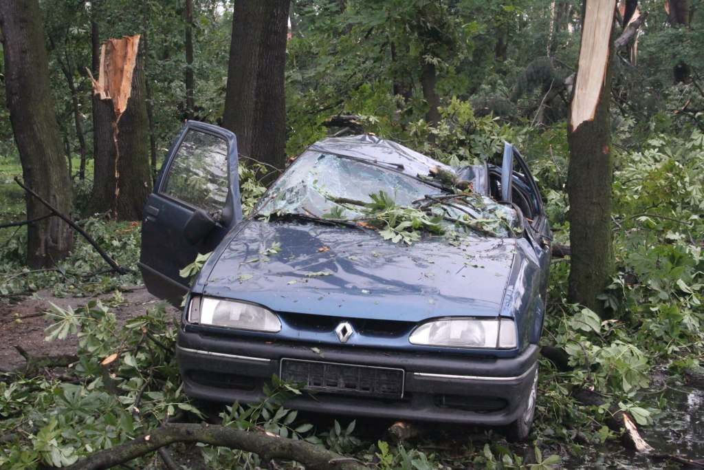 Tragiczne zniszczenia Parku