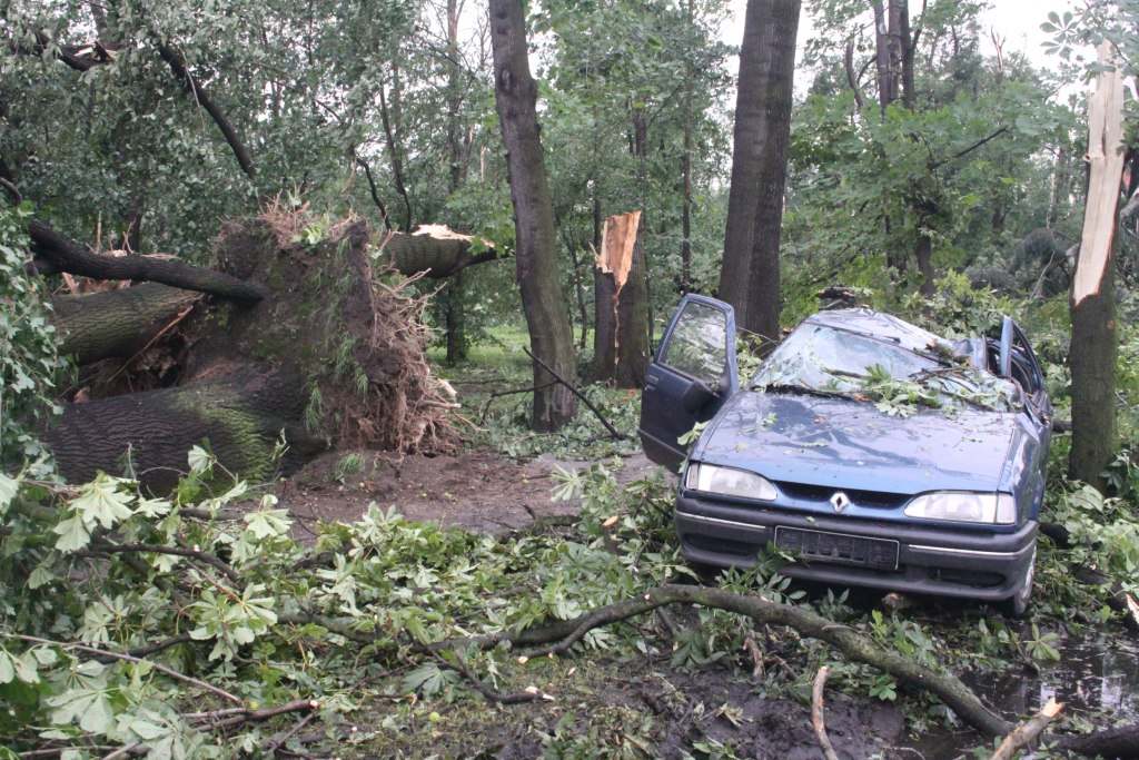 Tragiczne zniszczenia Parku