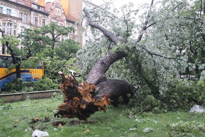 Tropikalna nawałnica w Legnicy