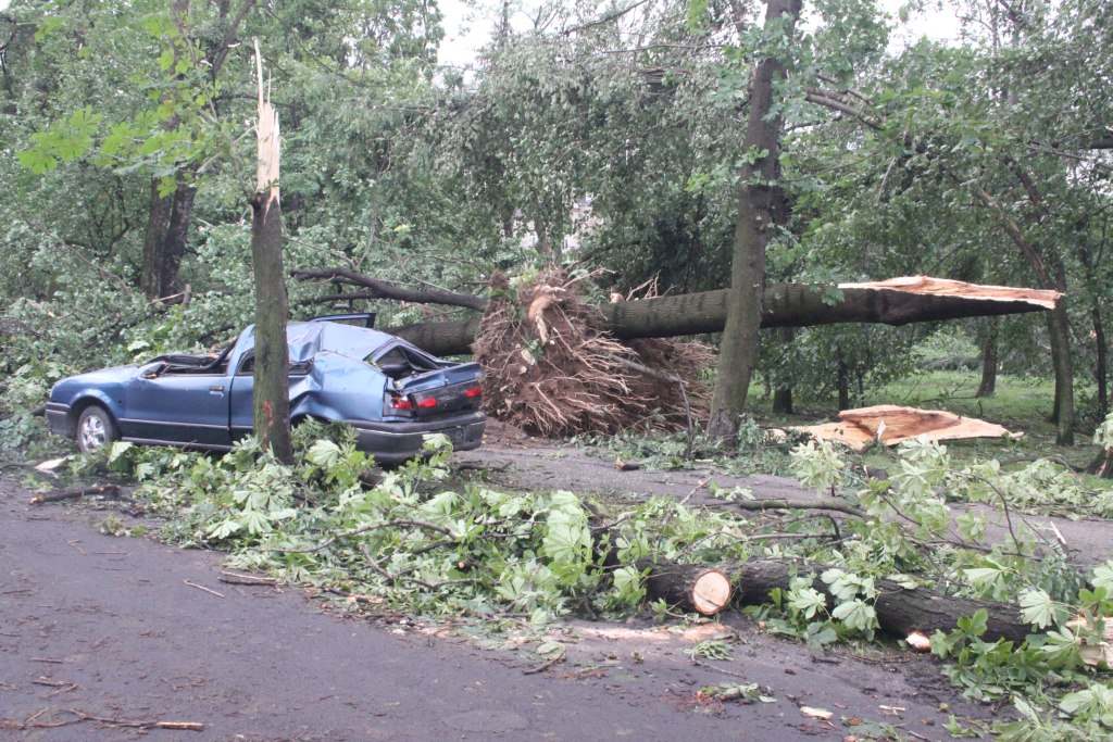 Tragiczne zniszczenia Parku