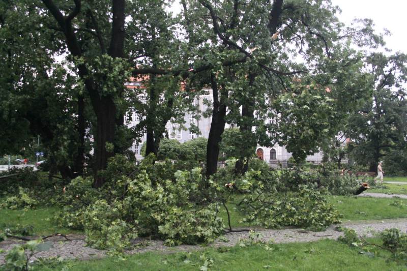 Tropikalna nawałnica w Legnicy