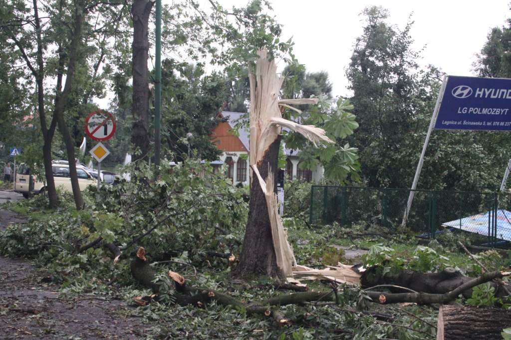 Tragiczne zniszczenia Parku