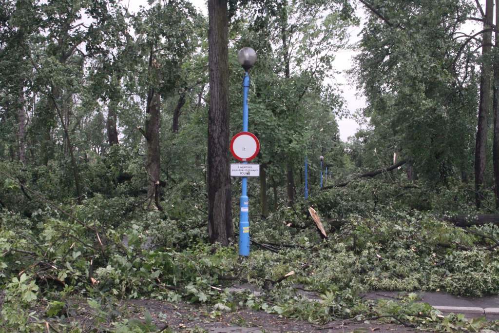 Tragiczne zniszczenia Parku