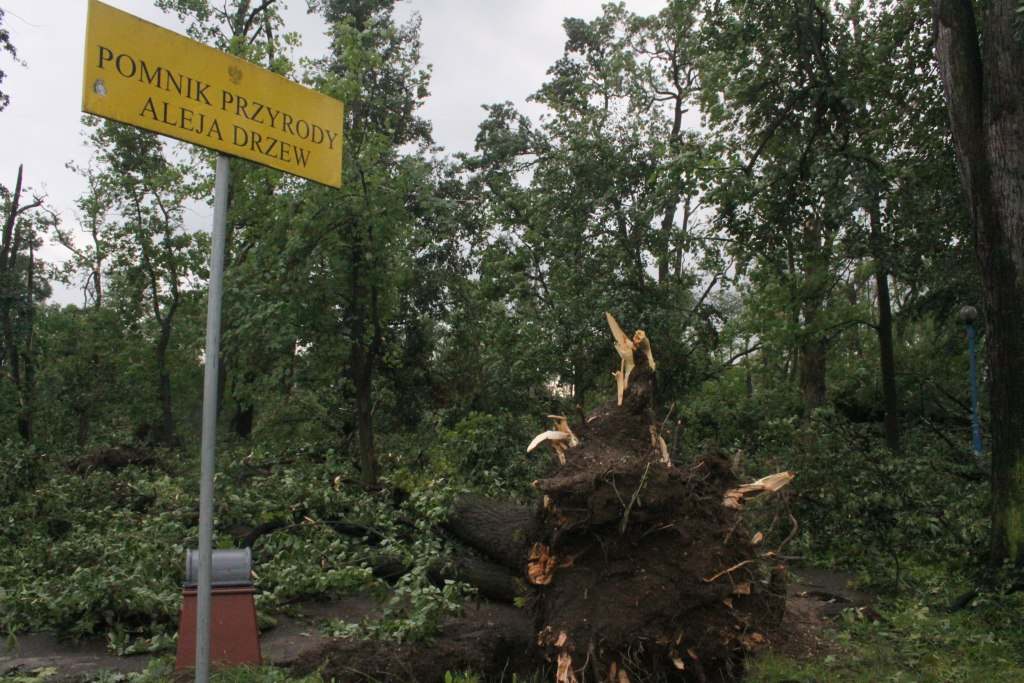 Tragiczne zniszczenia Parku