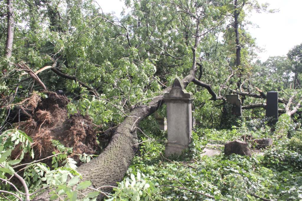 Zniszczenia na cmentarzach