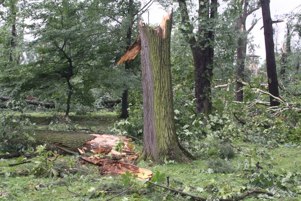 Tragiczne zniszczenia Parku