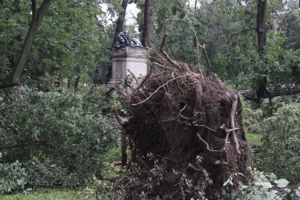 Tragiczne zniszczenia Parku