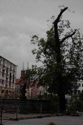 Nawałnica