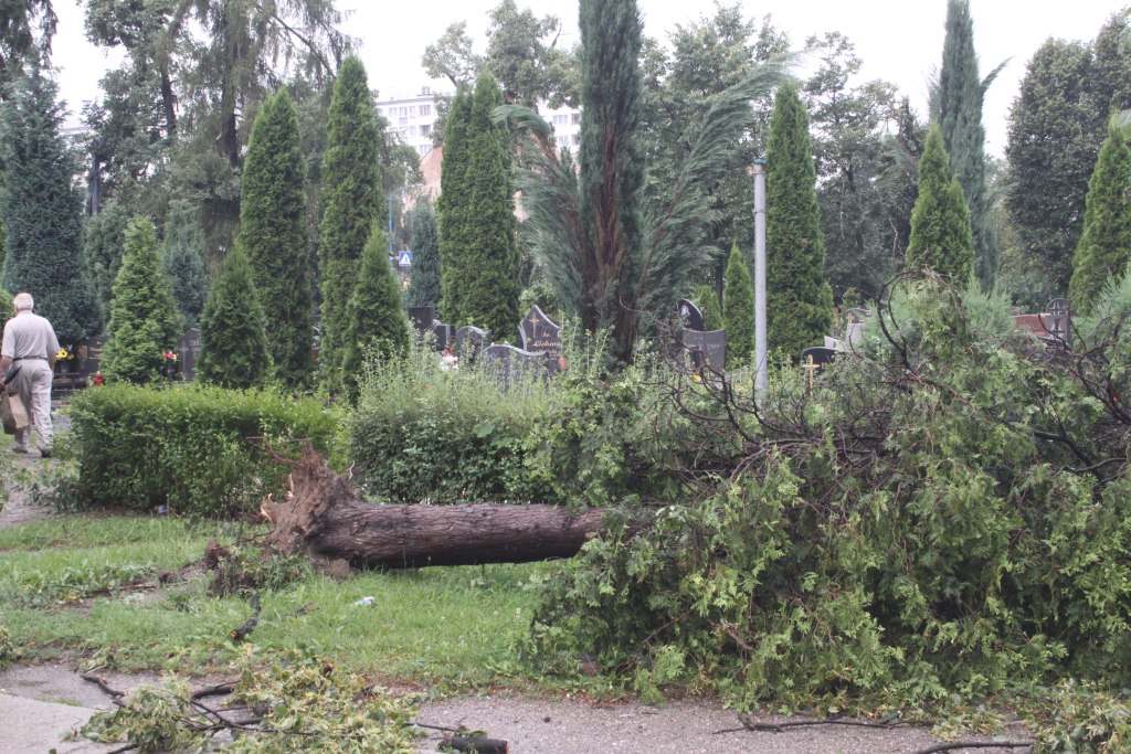 Zniszczenia na cmentarzach