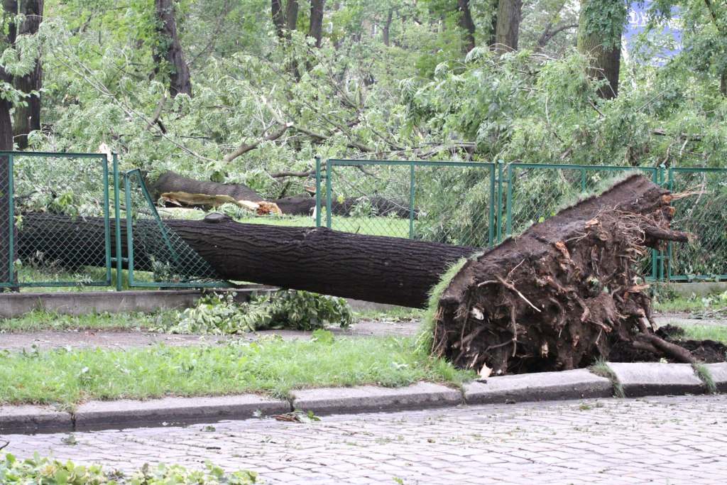 Tragiczne zniszczenia Parku