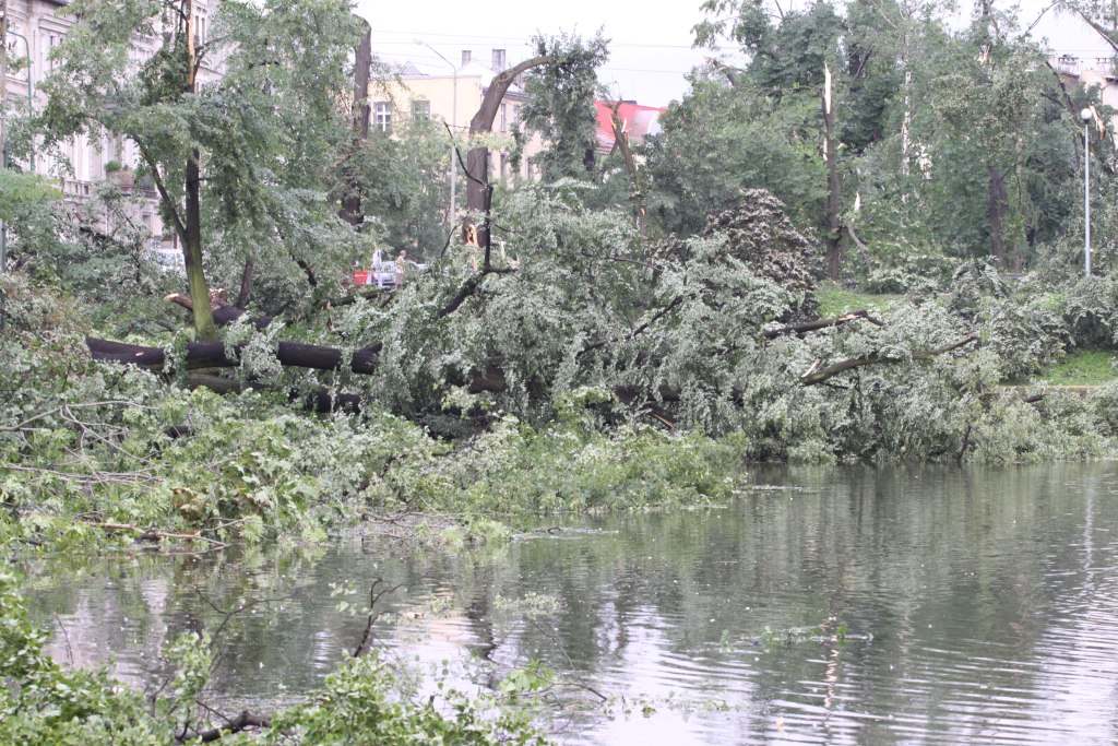 Tragiczne zniszczenia Parku