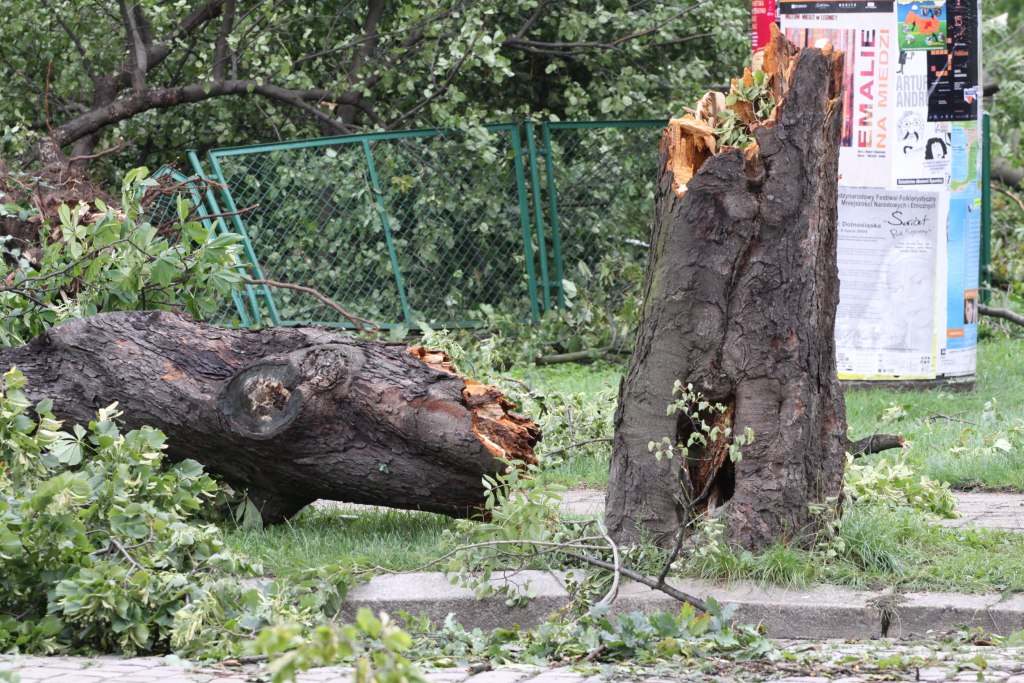 Tragiczne zniszczenia Parku