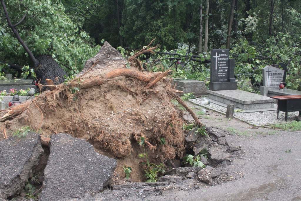 Zniszczenia na cmentarzach