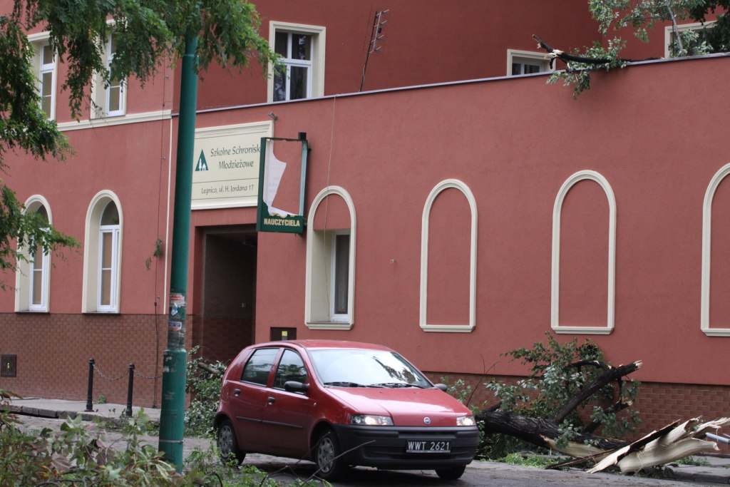 Tragiczne zniszczenia Parku