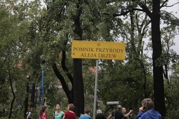 Nawałnica