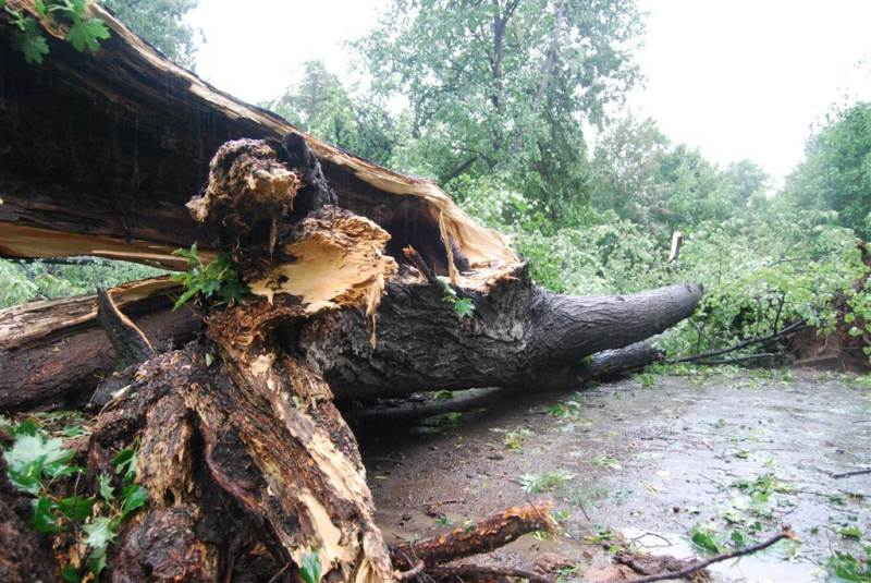 Nawałnica