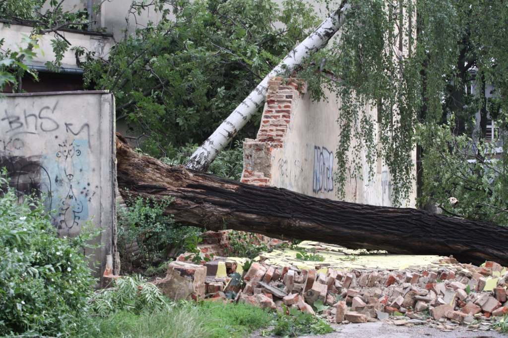 Tragiczne zniszczenia Parku