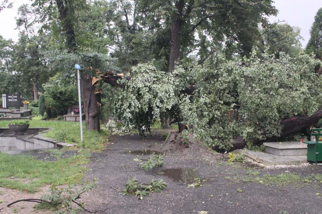 Zniszczenia na cmentarzach