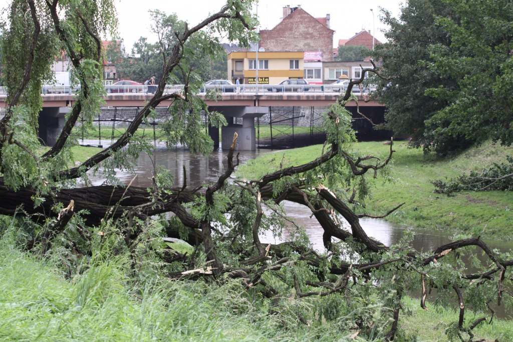 Tragiczne zniszczenia Parku