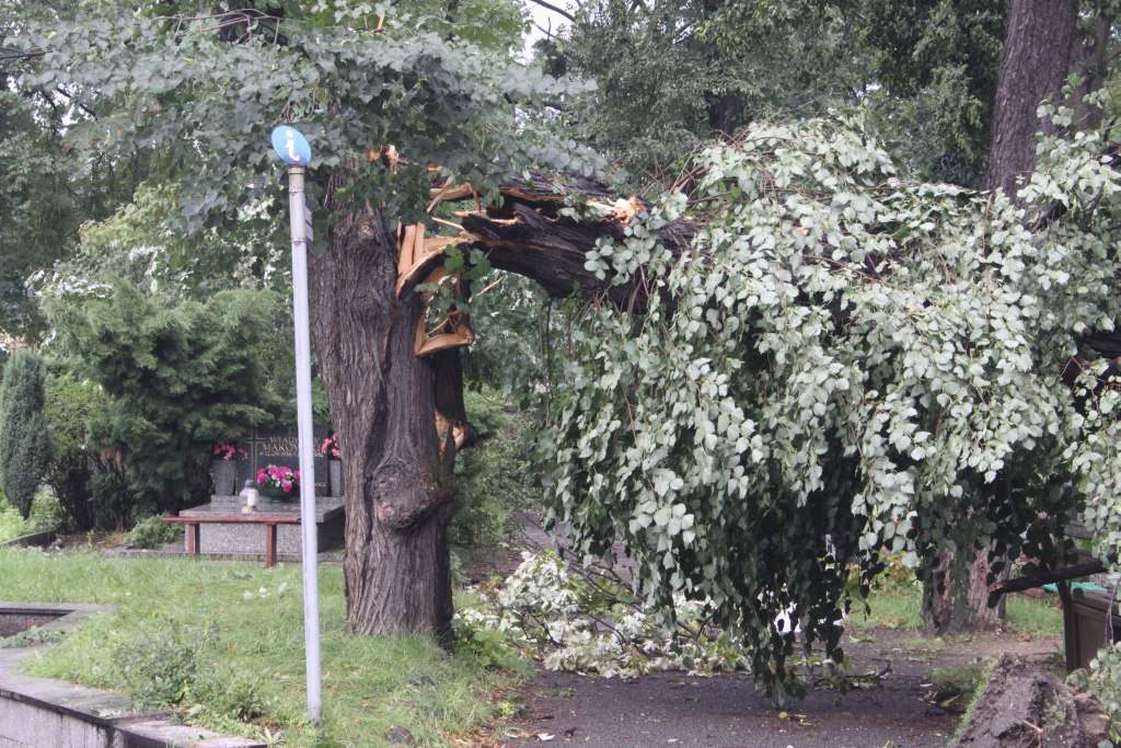 Zniszczenia na cmentarzach
