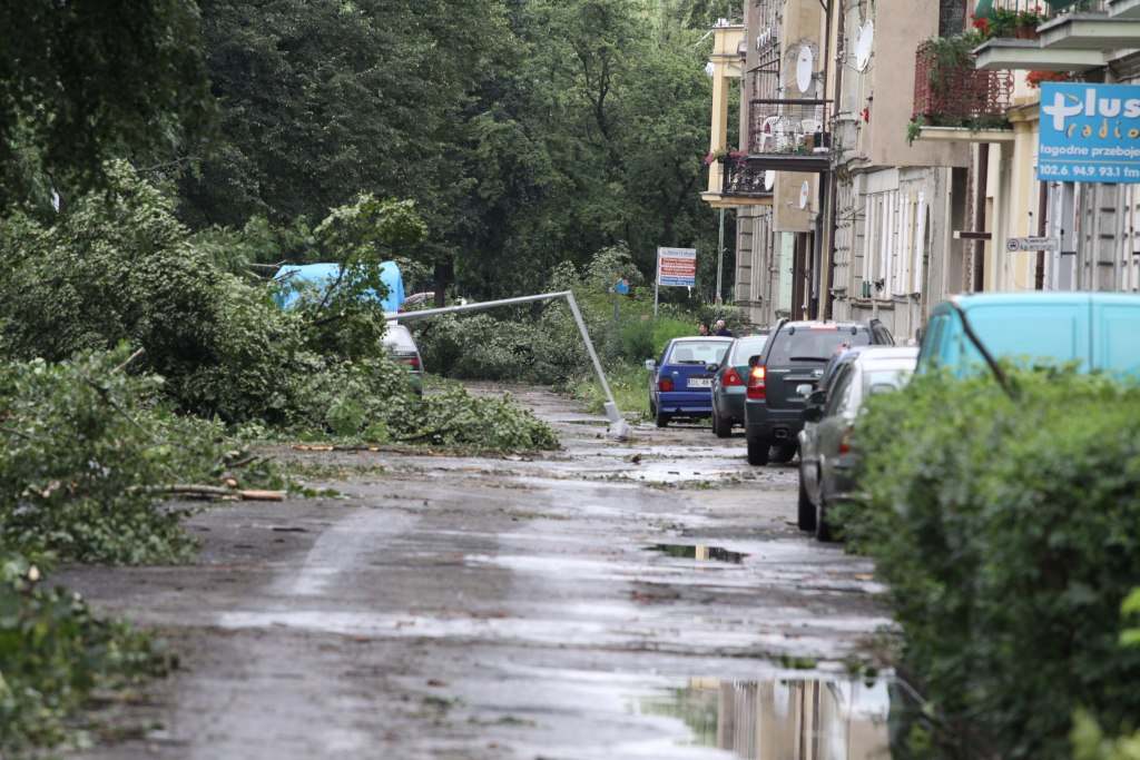 Tragiczne zniszczenia Parku
